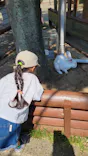 秋田市大森山動物園に投稿された画像（2026/6/25）