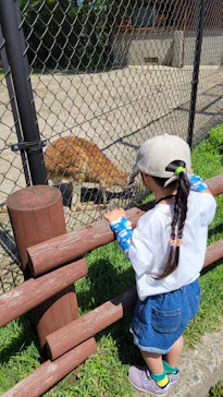 秋田市大森山動物園に投稿された画像（2026/6/25）