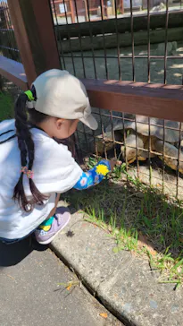 秋田市大森山動物園に投稿された画像（2026/6/25）
