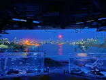 カワスイ 川崎⽔族館に投稿された画像（2026/6/25）