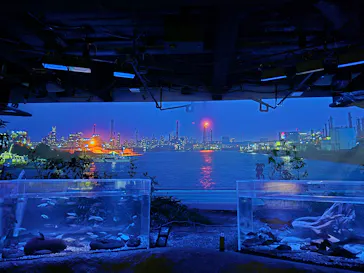 カワスイ 川崎⽔族館に投稿された画像（2026/6/25）