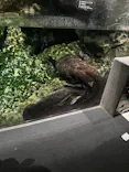 京都鉄道博物館×京都水族館に投稿された画像（2026/6/26）