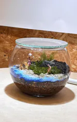 Terrariums仙台AER店に投稿された画像（2026/6/26）