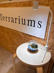 Terrariums仙台AER店に投稿された画像（2026/6/26）