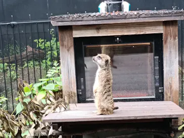 恩賜上野動物園に投稿された画像（2026/6/26）