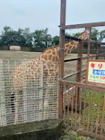 東武動物公園に投稿された画像（2026/6/26）