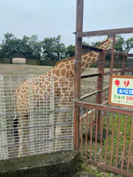 東武動物公園に投稿された画像（2026/6/26）