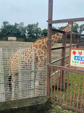 東武動物公園に投稿された画像（2026/6/26）
