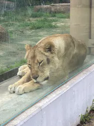 東武動物公園に投稿された画像（2026/6/26）
