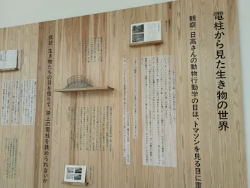 金沢21世紀美術館に投稿された画像（2026/6/26）