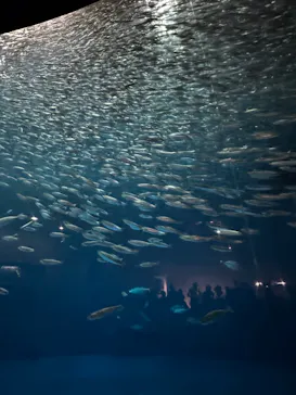 名古屋港水族館に投稿された画像（2026/6/26）