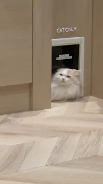 猫カフェモカ イオンモール岡山店に投稿された画像（2026/6/26）