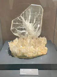 国立科学博物館に投稿された画像（2026/6/26）