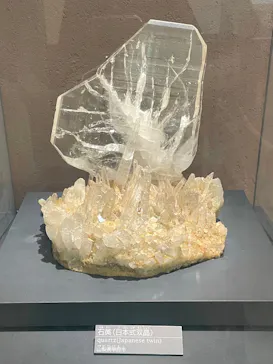 国立科学博物館に投稿された画像（2026/6/26）