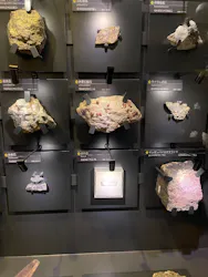 国立科学博物館に投稿された画像（2026/6/26）