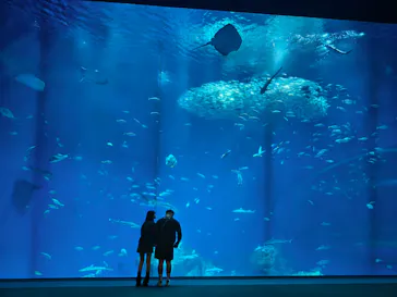 アクアワールド茨城県大洗水族館に投稿された画像（2026/6/26）