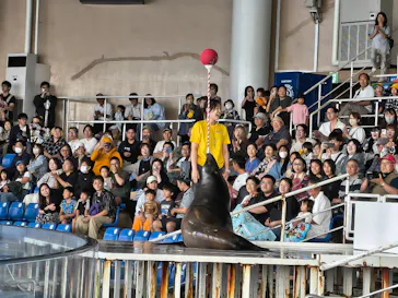アクアワールド茨城県大洗水族館に投稿された画像（2026/6/26）