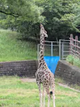 千葉市動物公園に投稿された画像（2026/6/27）
