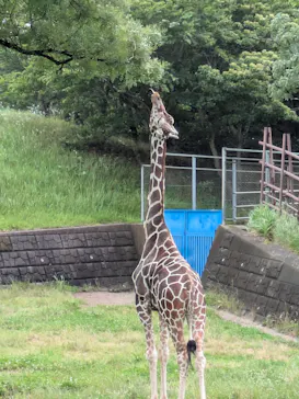 千葉市動物公園に投稿された画像（2026/6/26）