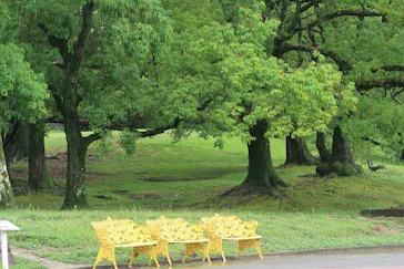 万博記念公園に投稿された画像（2026/6/27）
