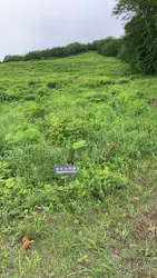 休暇村岩手網張温泉に投稿された画像（2026/6/27）