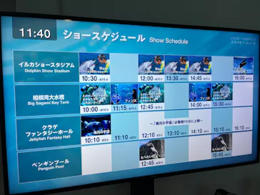 新江ノ島水族館に投稿された画像（2026/6/27）