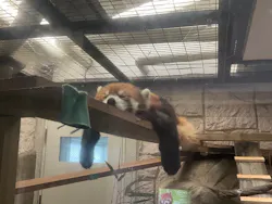 天王寺動物園に投稿された画像（2026/6/27）
