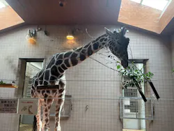 天王寺動物園に投稿された画像（2026/6/27）