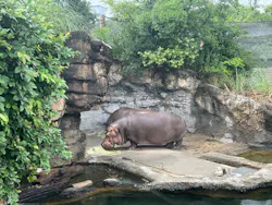 天王寺動物園に投稿された画像（2026/6/27）