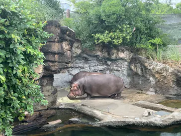 天王寺動物園に投稿された画像（2026/6/27）