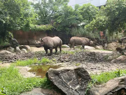 天王寺動物園に投稿された画像（2026/6/27）