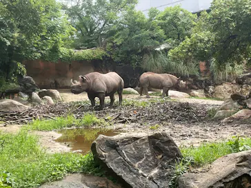 天王寺動物園に投稿された画像（2026/6/27）