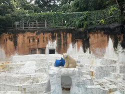 天王寺動物園に投稿された画像（2026/6/27）
