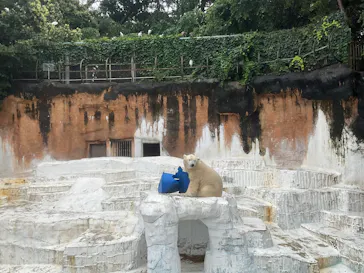 天王寺動物園に投稿された画像（2026/6/27）