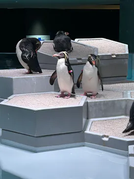 AOAO SAPPOROに投稿された画像（2026/6/27）