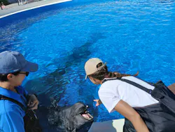 沖縄美ら海水族館（館内体験）に投稿された画像（2026/6/27）