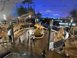 福井県立恐竜博物館に投稿された画像（2026/6/27）