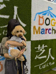 ZENSHOO Presents DOG Marcheに投稿された画像（2026/6/27）