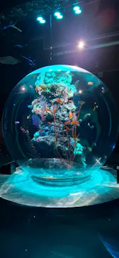 AQUARIUM × ART　atoaに投稿された画像（2026/6/27）