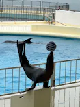 マリンワールド海の中道に投稿された画像（2026/6/27）