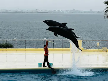 マリンワールド海の中道に投稿された画像（2026/6/27）