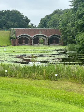 ミュージアムパーク茨城県自然博物館に投稿された画像（2026/6/27）