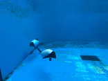 仙台うみの杜水族館に投稿された画像（2026/6/27）