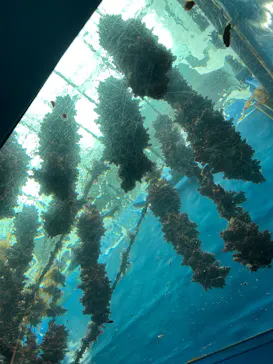 仙台うみの杜水族館に投稿された画像（2026/6/27）