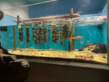 仙台うみの杜水族館に投稿された画像（2026/6/27）