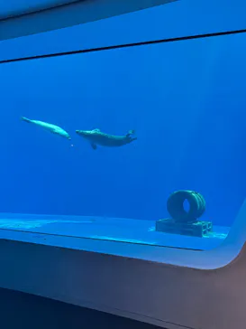 上越市立水族博物館 うみがたりに投稿された画像（2026/6/27）