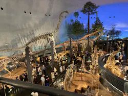 福井県立恐竜博物館に投稿された画像（2026/6/27）