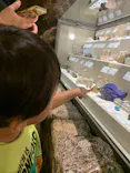 ミュージアムパーク茨城県自然博物館に投稿された画像（2026/6/27）