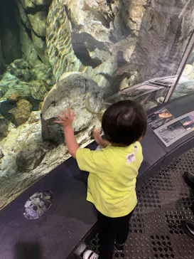 ミュージアムパーク茨城県自然博物館に投稿された画像（2026/6/27）