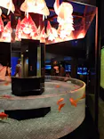 すみだ水族館に投稿された画像（2026/6/27）